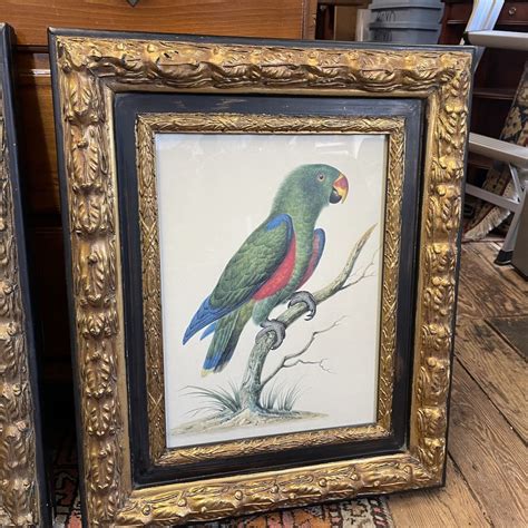 pair  framed bird prints boyds antiques