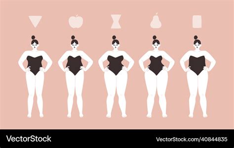 Curvy Women Of Different Body Types Isolated Vector Image
