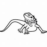 Bearded Lizard Decal sketch template