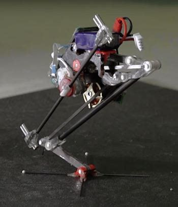 wall jumping robot inspired  nature engineeringcom