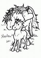 Chevaux Coloriages Greatestcoloringbook Magnifique sketch template