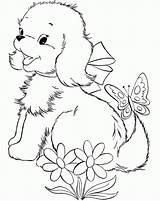 Coloring Pages Dog Small Cute Puppies Popular Kids sketch template