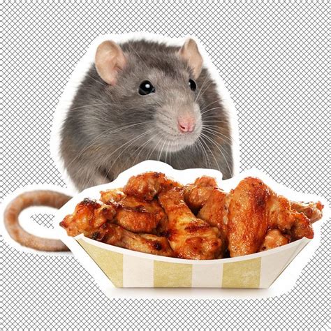 Live Rat Fell On Woman’s Table At Buffalo Wild Wings