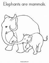 Coloring Pages Elephant Mammals Elephants Worksheet Baby Mama Thailand Printable Cartoon Colouring Color Clipart Twistynoodle Print Clip Noodle Animal Favorites sketch template