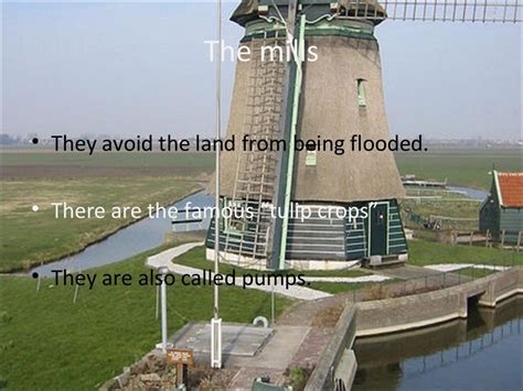 dutch polders
