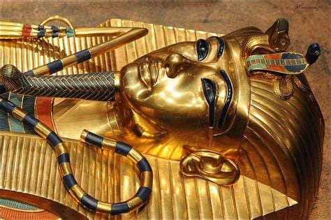 7 Surprising Facts About Egypt S Ancient Mummies Elite