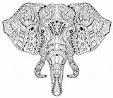 Elephant Head Doodle Vector Illustration Sketch Zentangle Stock Background Coloring Ready Graphic Book Royalty Firebird sketch template