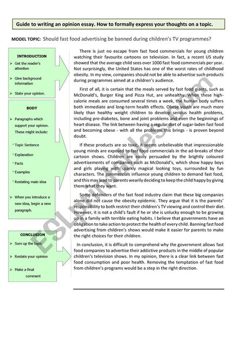 opinion essay examples   opinion essay  essays