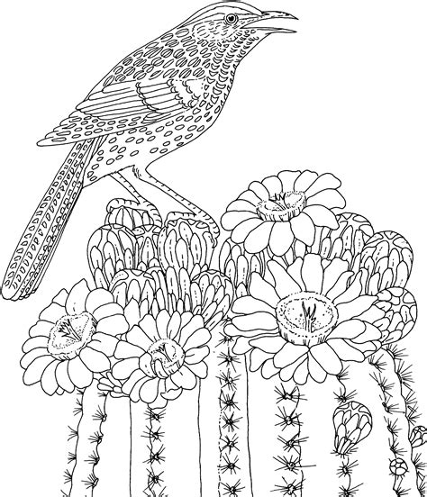 coloring pages  adults printable coloring pages  adults adult