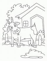 Goat Ziege Coloring4free Ausmalbilder Koza Sheets Kolorowanki Kozy 2057 Kolorowanka Ausmalbild Drukuj Druku sketch template