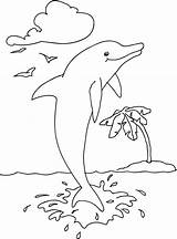 Delfin Ausmalbild Ausmalbilder Delfine Mewarnai Lumba Hai Kinderbilder Hewan Malbuch Delphin Malvorlage Innen Oceanic Ikan Hiu Malen Buku Wale Pinnwand sketch template