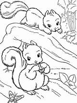 Squirrel Squirrels Paraguai Sheets sketch template
