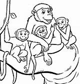 Monkeys Drawing Monkey Coloring Pages Family Getdrawings sketch template