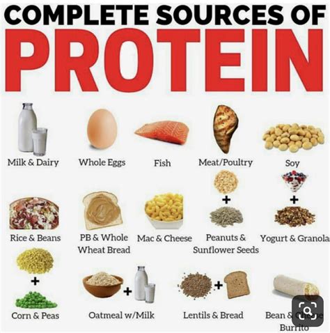 discover idlife protein foods list high protein foods list protein
