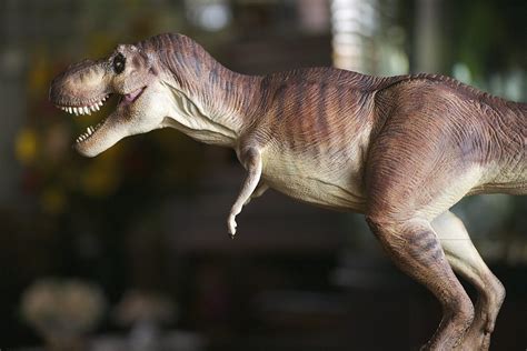 T Rex Jurassic Park Horizon A Photo On Flickriver