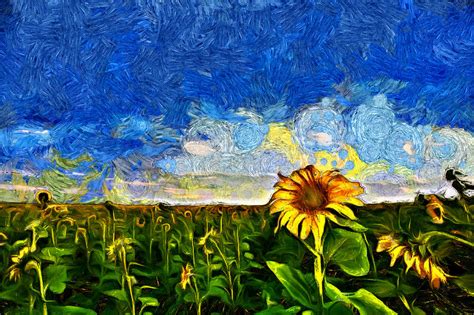 Vincent Van Goghs Sunflower Field Digital Art By Artem Kartavkin
