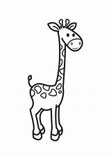 Colorare Giraffa Disegno sketch template