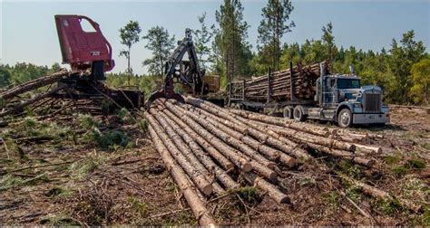 florida forestry economic highlights panhandle agriculture