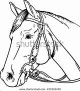 Horse Western Coloring Pages Bridle Vector Template Color Parts Paint Shutterstock Number Reining Printable Stock Diagram Getcolorings Sketch Preview sketch template