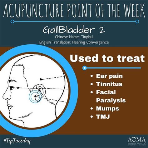 tiptuesday acupuncture point of the week gb 2
