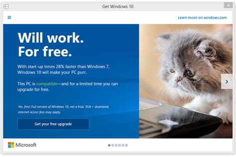 having trouble upgrading to windows 10 microsoft enlists cats to help