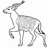 Antelope Bongo Bongos Kudu Supercoloring Antelopes Caticorn Mammals Antílope sketch template