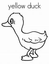 Yellow Coloring Duck Pages Color Drawing Ducks Wood Jacket Printable Pond Getcolorings Netart Getdrawings Print 776px 21kb sketch template