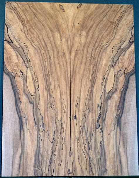 spalted walnut top products list