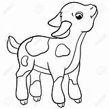 Goat Baby Cute Drawing Coloring Pages Clipartmag Goats sketch template