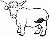 Ox Oxen sketch template