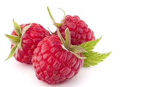 red raspberry flavor concentrate frocup