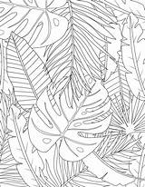 Tropical Coloring Leaves Leaf Pages Colouring Painting Line Audrey Chenal Drawing Flower Choose Board sketch template