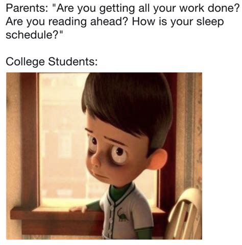 memes  hilariously sum   student experience