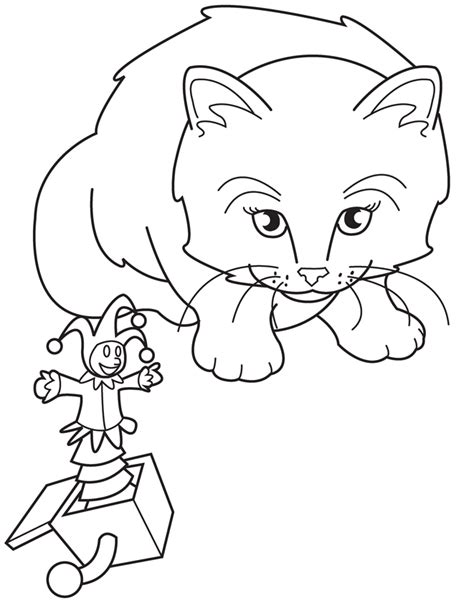 dolphin tale  coloring page coloring home