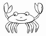 Crab Hermit Clipartmag sketch template