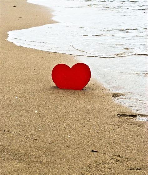 buried heart   beach heart  nature love heart heart art
