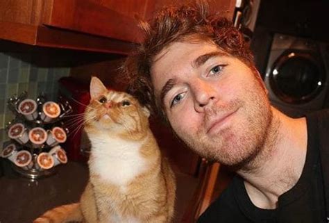 youtube star swears he didn t have sex with his cat but