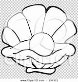 Oyster Outline Coloring Illustration Pearl Shell Rf Royalty Clipart Drawing Visekart Getdrawings sketch template