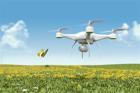 quadrocopter drone   camera filming  butterfly stock photo  image  istock