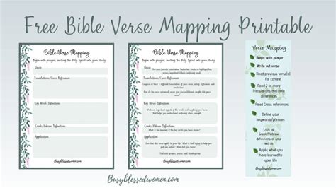 step guide  verse mapping