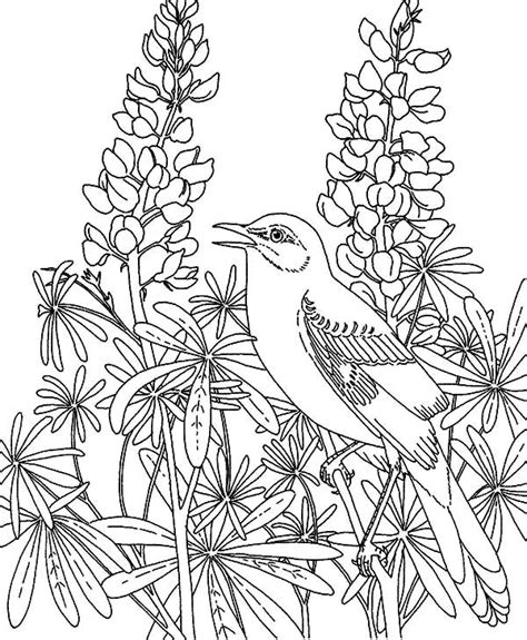 coloring pages garden pics
