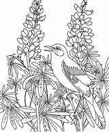Garden Coloring Pages Flower Printable Fairy Rose Color Mockingbird Getcolorings Fairies Print Flowe sketch template