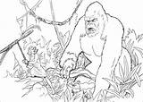 Kong King Coloring Pages Kids Meets Ann sketch template