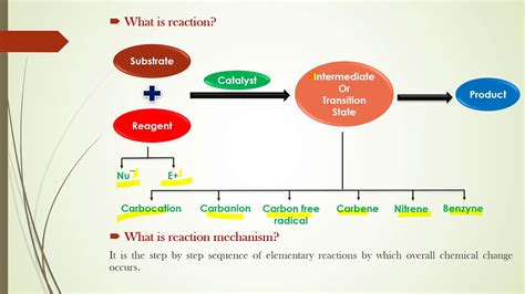 reaction mechanism part  youtube
