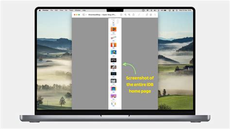 asser kreativ anhaengen  capture scrolling screenshot mac gepard