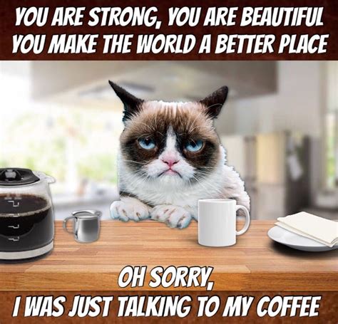 grumpy cat meme coffee tadhg ware