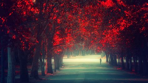 autumn tumblr wallpapers free with high definition