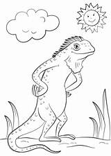 Iguana Coloring Cartoon Pages Lizard Printable Drawing Lizards Chameleon A4 Categories Getdrawings Anole Kids Parentune Reptiles sketch template