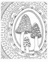 Toadstool Coloring Adult Getdrawings Drawing sketch template