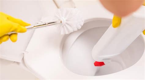 clean  toilet bowl  toilet bowl       items